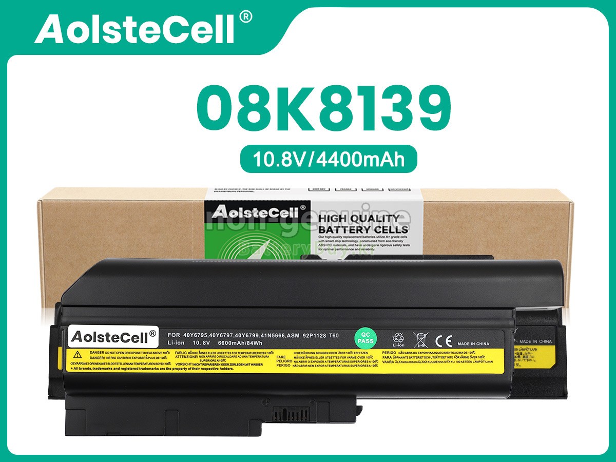 IBM 92P1011 대체 배터리