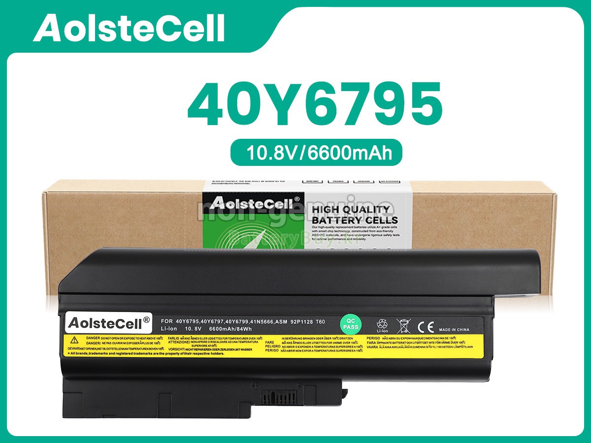 IBM 41N5666 대체 배터리